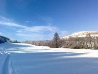 zimná krása 12.1.2013