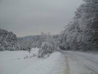 zimná krása za dedinou smerom na Šarišské Čierne 8.2.2013