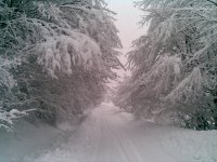 zimná krása  za dedinou smerom na Ciglu oproti Lužku 8.2.2013